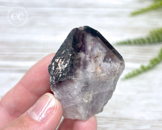 Brazilian Smoky Amethyst #18