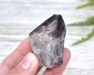 Brazilian Smoky Amethyst #18