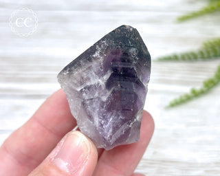 Brazilian Smoky Amethyst #18