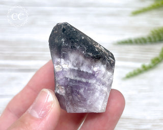 Brazilian Smoky Amethyst #18