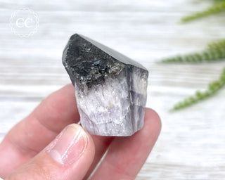 Brazilian Smoky Amethyst #19