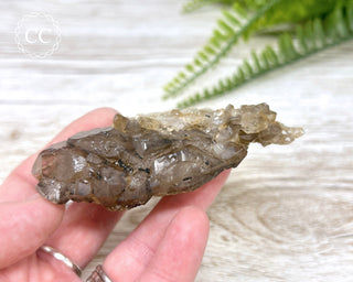 Smoky Elestial Quartz #1