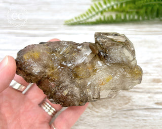 Smoky Elestial Quartz #3