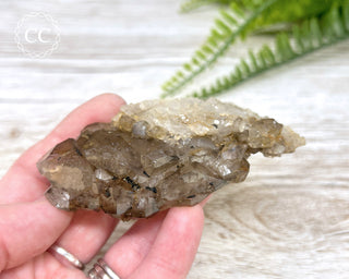 Smoky Elestial Quartz #1