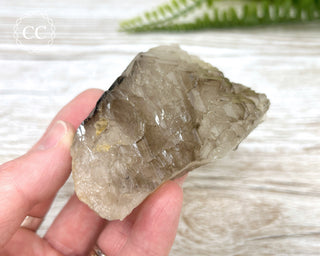 Smoky Elestial Quartz #4