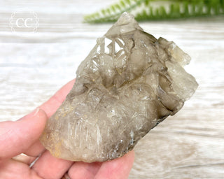 Smoky Elestial Quartz #4