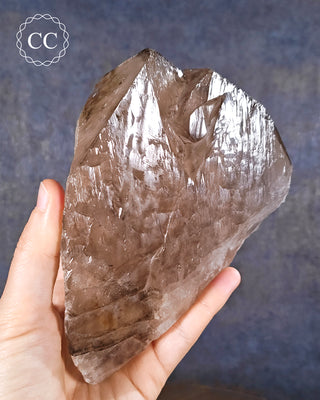 Large Smoky Elestial Quartz #6