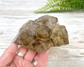 Smoky Elestial Quartz #3