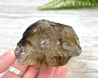 Smoky Elestial Quartz #5