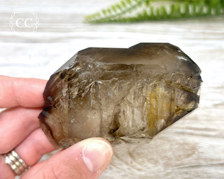 Smoky Elestial Quartz #5