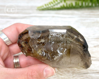 Smoky Elestial Quartz #5