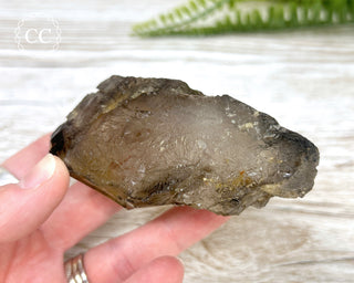 Smoky Elestial Quartz #5