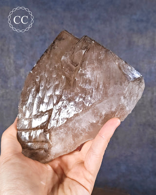 Large Smoky Elestial Quartz #6