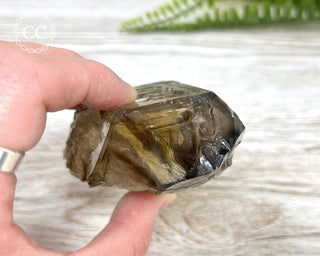 Smoky Elestial Quartz #5