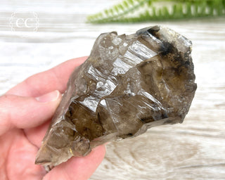 Smoky Elestial Quartz #7