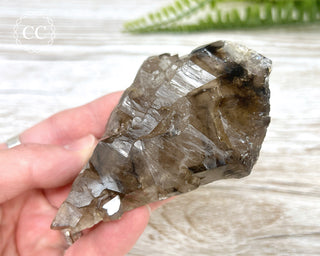 Smoky Elestial Quartz #7