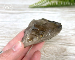 Smoky Elestial Quartz #7