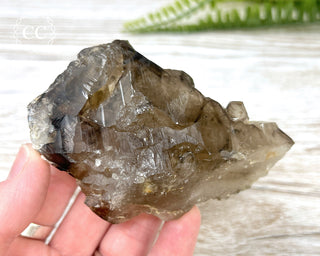 Smoky Elestial Quartz #7