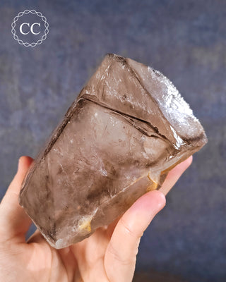 Large Smoky Elestial Quartz #6