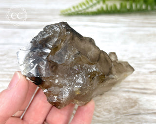 Smoky Elestial Quartz #7