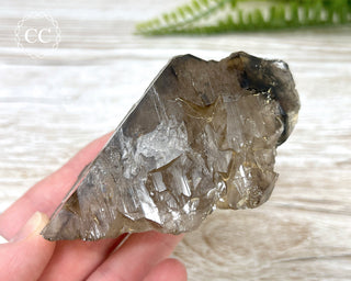 Smoky Elestial Quartz #7