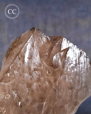 Large Smoky Elestial Quartz #6