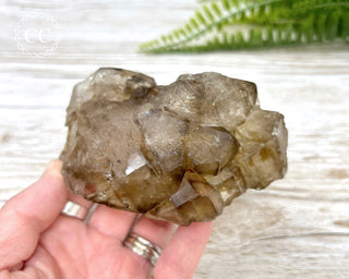 Smoky Elestial Quartz #3