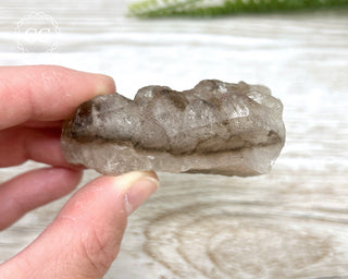 Smoky Elestial Quartz #8