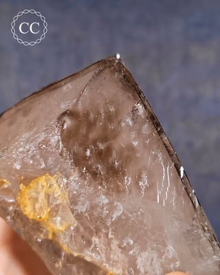 Large Smoky Elestial Quartz #6