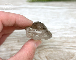 Smoky Elestial Quartz #9