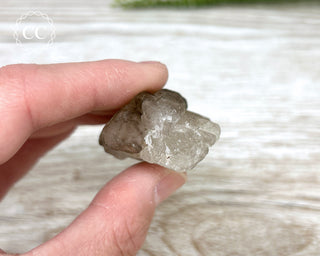 Smoky Elestial Quartz #9