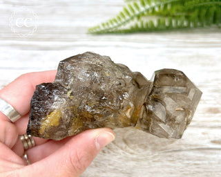 Smoky Elestial Quartz #3