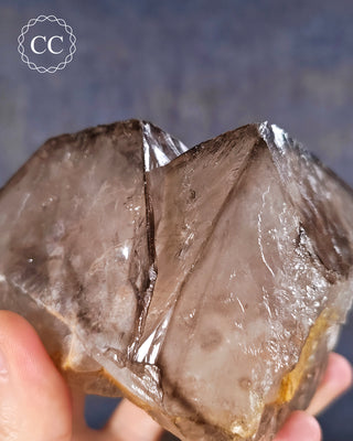 Large Smoky Elestial Quartz #6