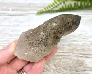 Smoky Elestial Quartz with Hematite  #12