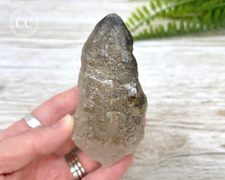 Smoky Elestial Quartz with Hematite  #12