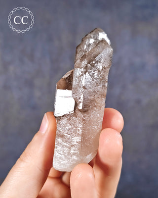 Smoky Elestial Quartz #4