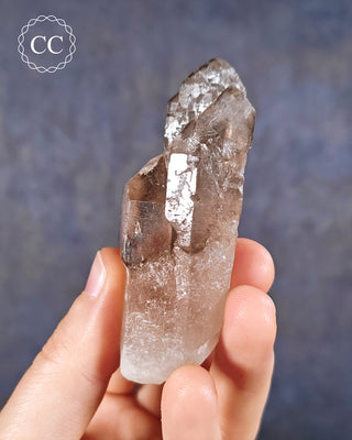 Smoky Elestial Quartz #4