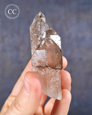Smoky Elestial Quartz #4