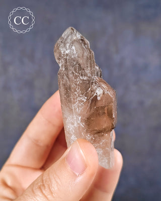 Smoky Elestial Quartz #4