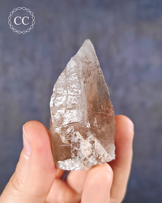 Smoky Elestial Quartz #5