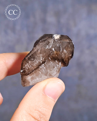Smoky Elestial Quartz #2