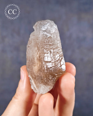 Smoky Elestial Quartz #5