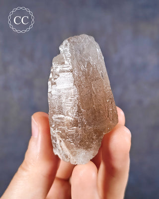 Smoky Elestial Quartz #5