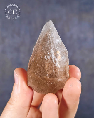 Smoky Elestial Quartz #5