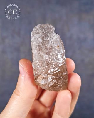 Smoky Elestial Quartz #5