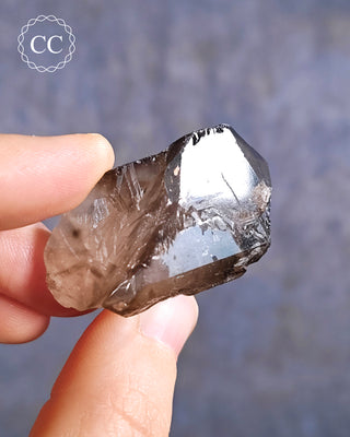 Smoky Elestial Quartz #2