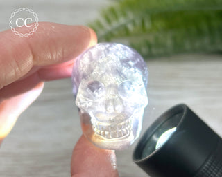 Smokey Fluorite Skull #3