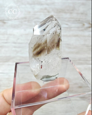 Smoky Goboboseb (Brandberg) Hematite Quartz #12