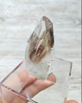 Smoky Goboboseb (Brandberg) Hematite Quartz #12
