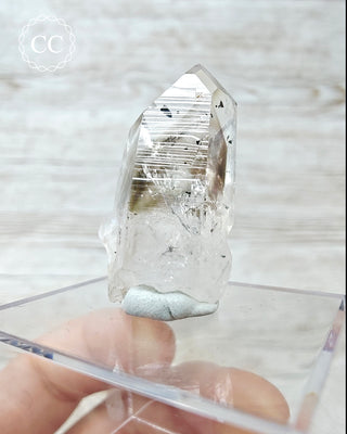Smoky Goboboseb (Brandberg) Hematite Quartz #12